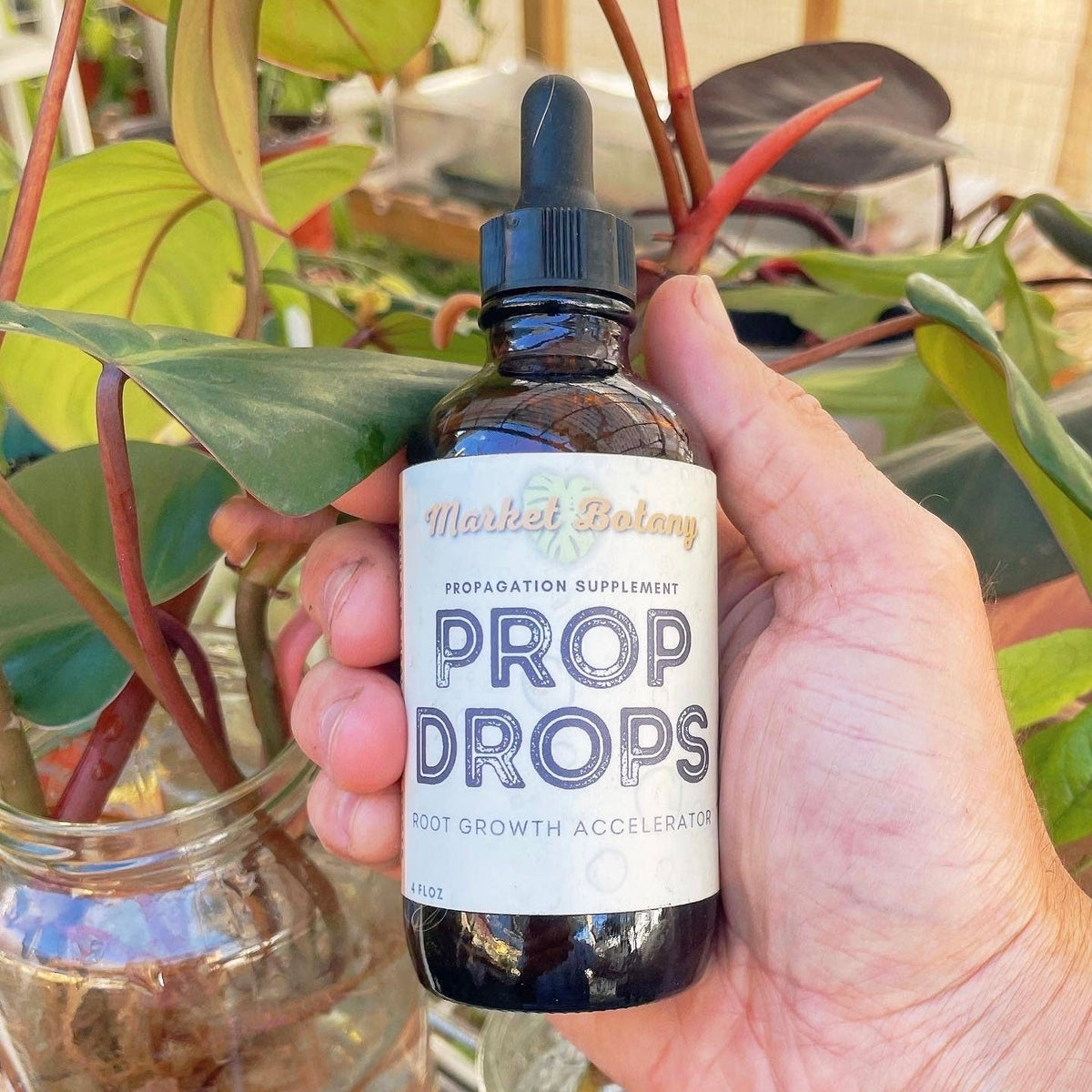 Propagation: Prop Drops – Planted.