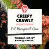 Promotional graphic for a pest management class titled 'Creepy Crawly: Houseplant Pest Survivalism,' with a white text panel over a close-up photo of red mites on green plant foliage. The text reads 'Pest Management Class' and 'Thursday, Oct.