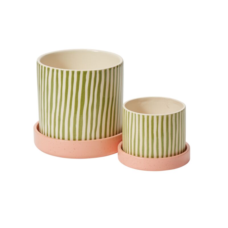 watermelon plant pot Pot: “Watermelon” – Planted