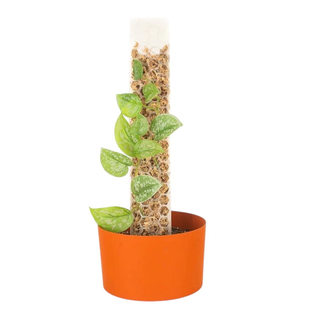 moss pole filling Moss Pole: Pre-filled, stackable – Planted