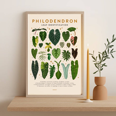 Prints, Art, & Cards